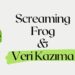screaming frog veri kazima